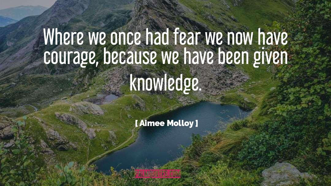 Have Courage quotes by Aimee Molloy