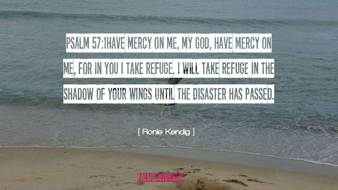 Have Mercy quotes by Ronie Kendig