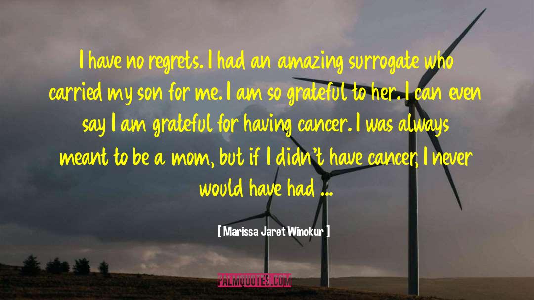 Have No Regrets quotes by Marissa Jaret Winokur