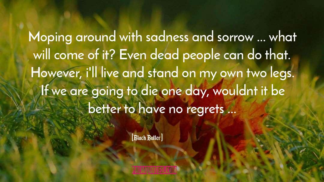 Have No Regrets quotes by Black Butler