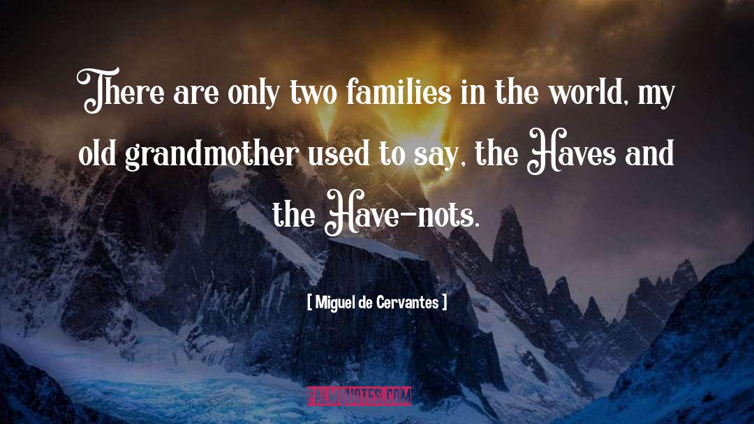 Have Nots quotes by Miguel De Cervantes