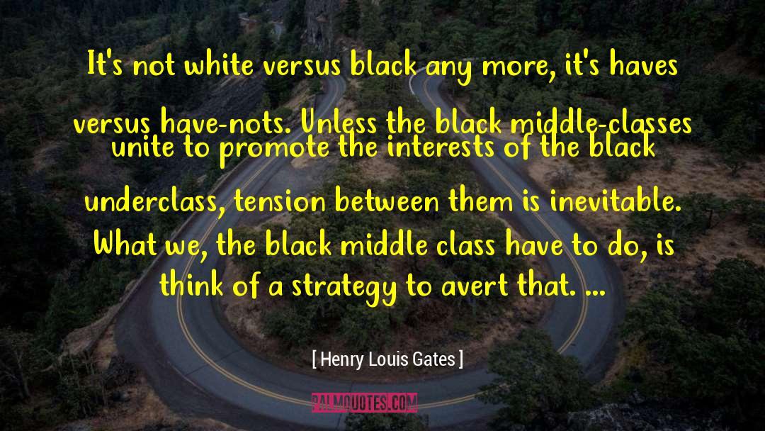Have Nots quotes by Henry Louis Gates