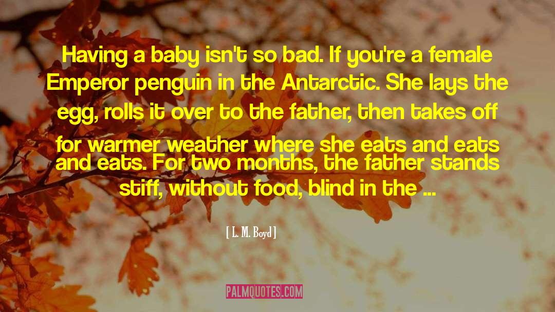 Having A Baby quotes by L. M. Boyd