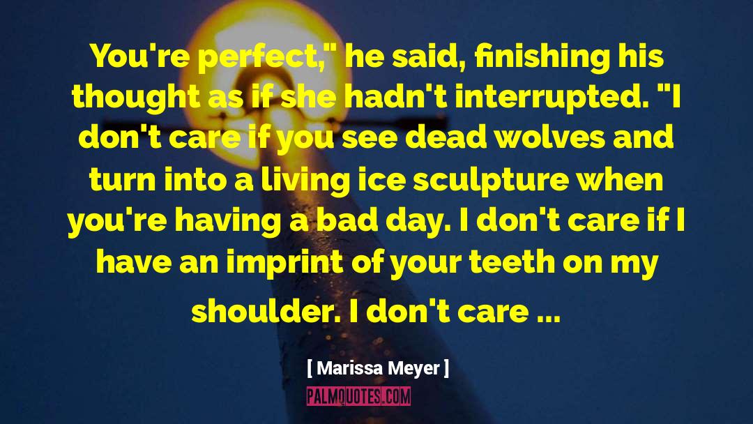 Having A Bad Day quotes by Marissa Meyer