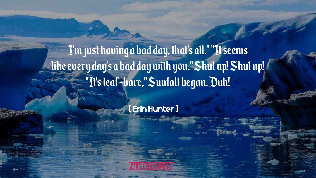 Having A Bad Day quotes by Erin Hunter