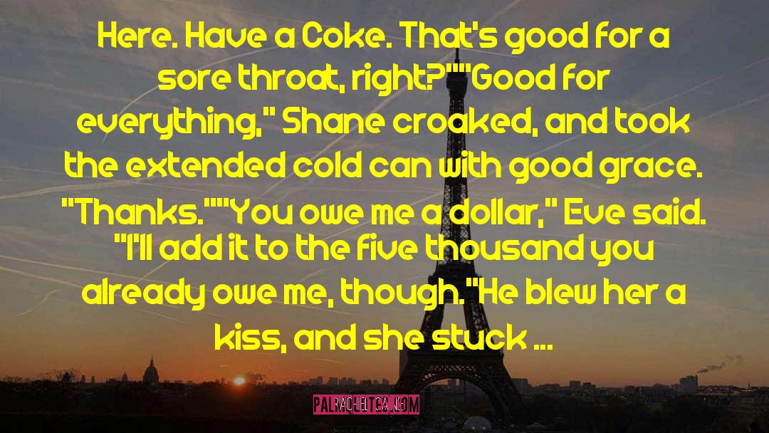 Having A Coke With You quotes by Rachel Caine