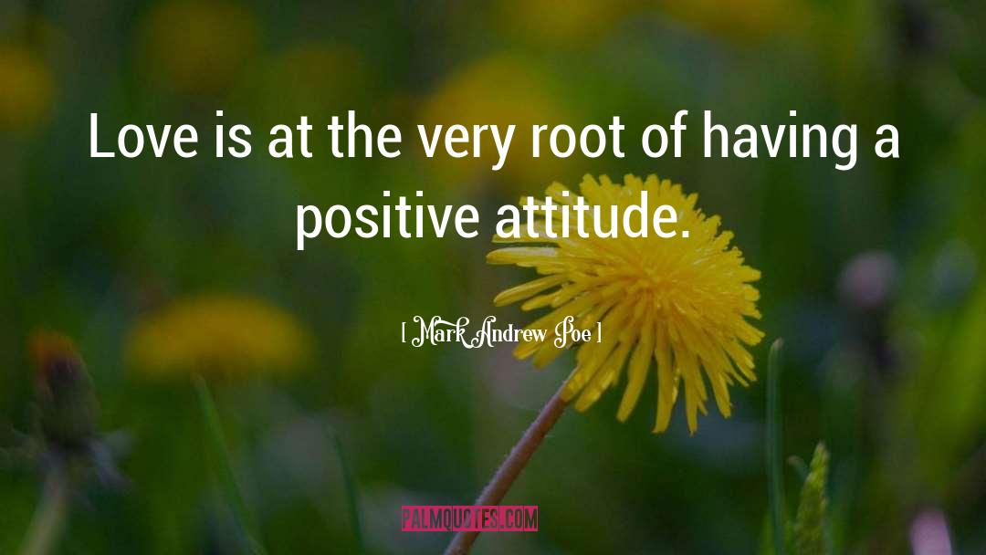 Having A Positive Attitude quotes by Mark Andrew Poe