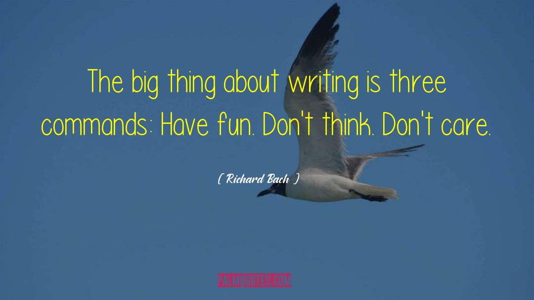 Having Fun quotes by Richard Bach