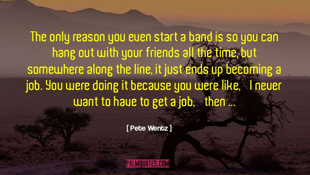 Having Fun With Your Friends quotes by Pete Wentz