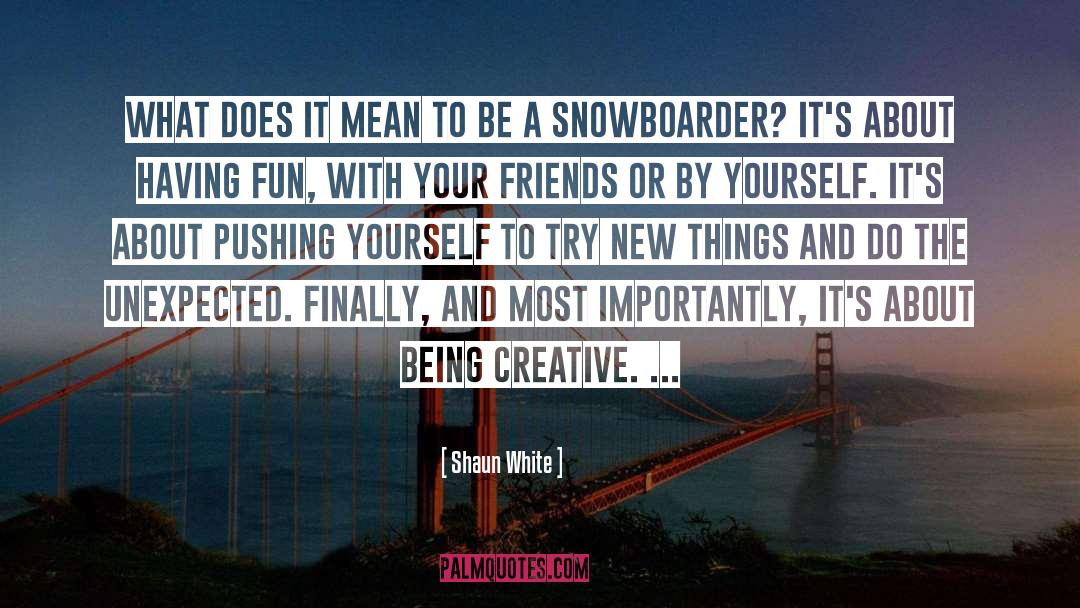Having Fun With Your Friends quotes by Shaun White
