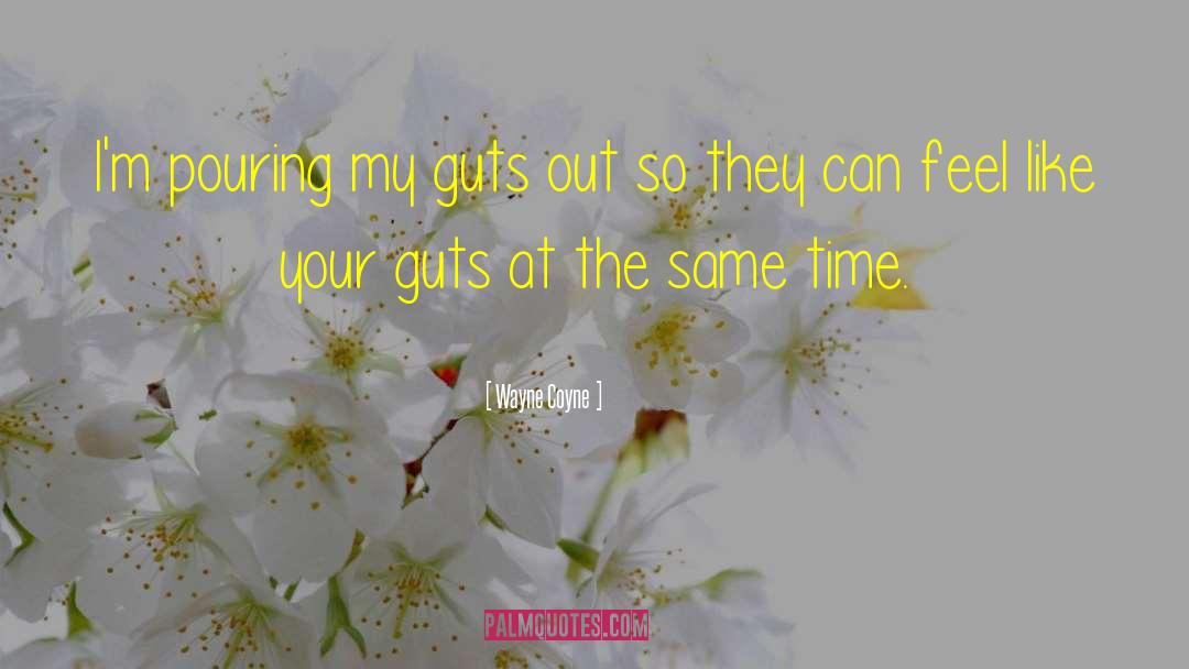 Having Guts quotes by Wayne Coyne