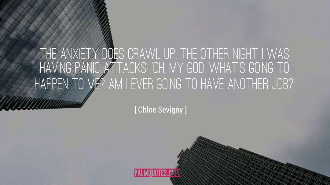 Having Panic Attacks quotes by Chloe Sevigny