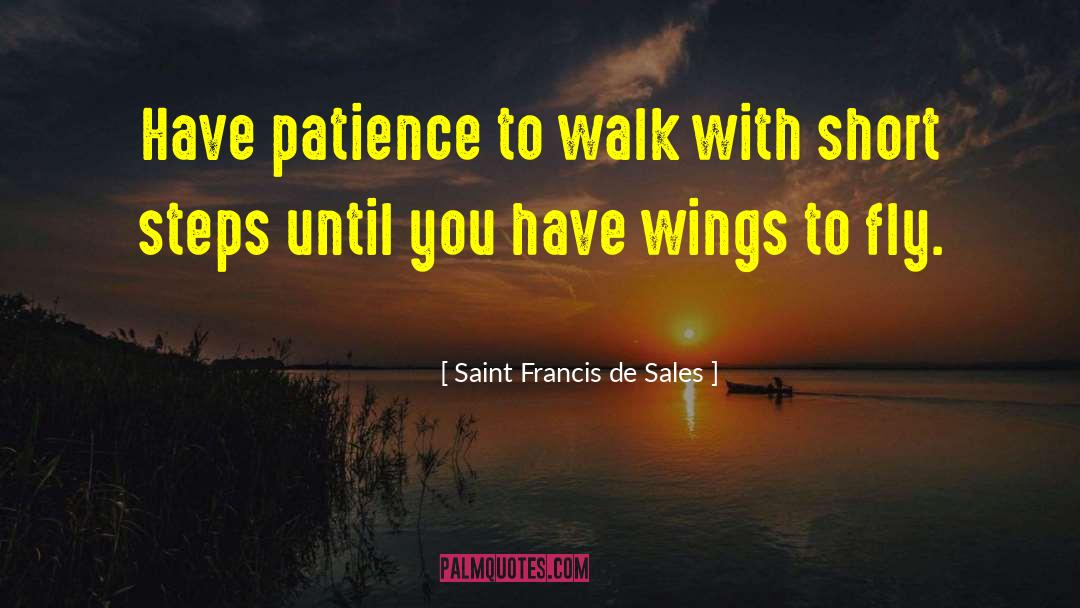 Having Patience quotes by Saint Francis De Sales