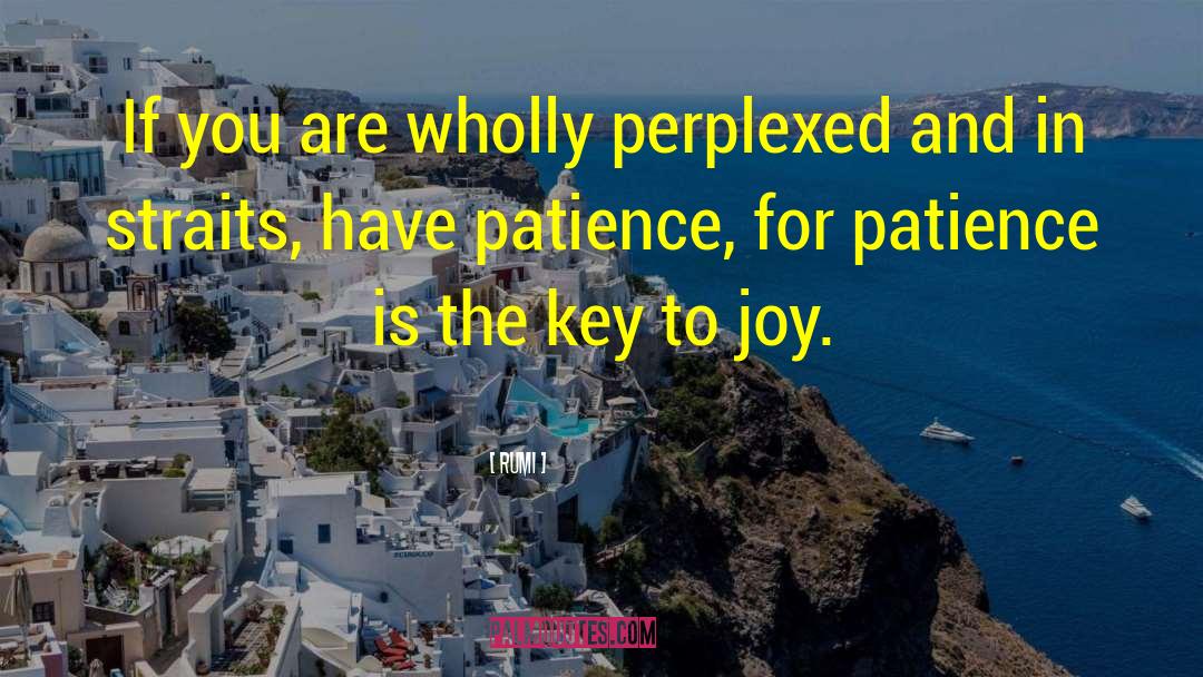 Having Patience quotes by Rumi