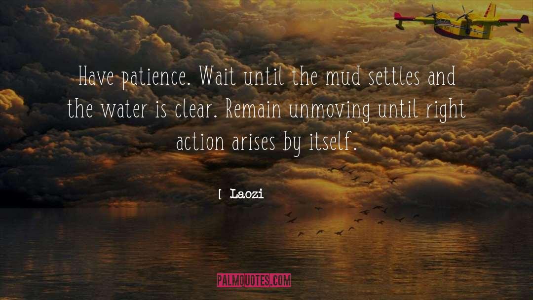 Having Patience quotes by Laozi