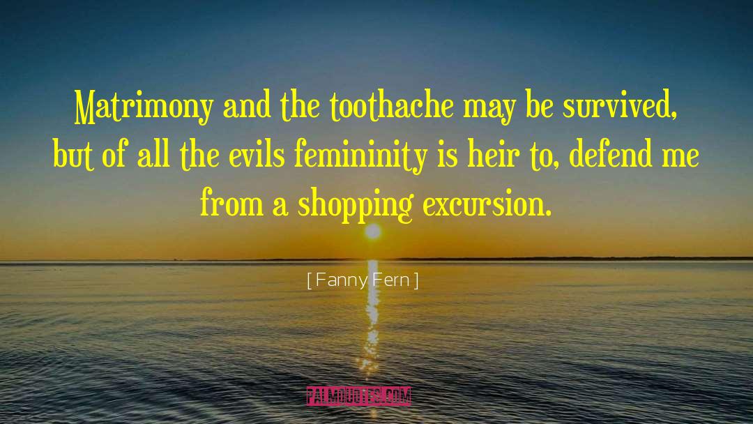 Having Toothache quotes by Fanny Fern
