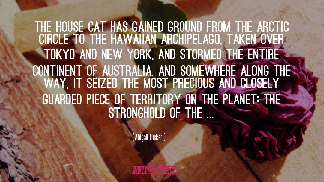 Hawaiian Chants quotes by Abigail Tucker