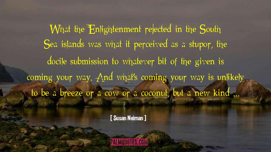 Hawaiian Islands quotes by Susan Neiman