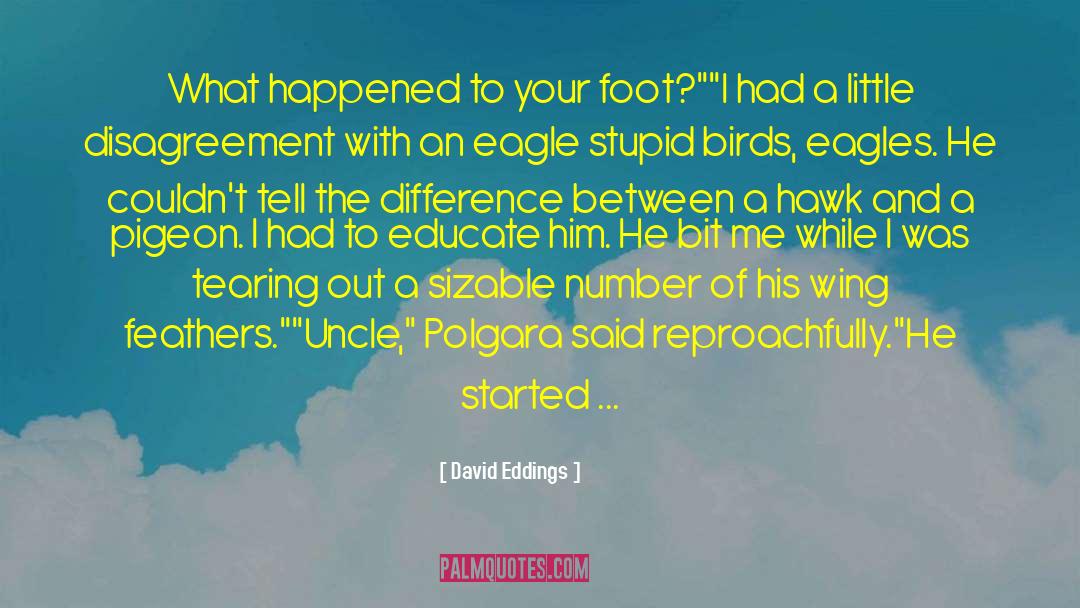 Hawk quotes by David Eddings