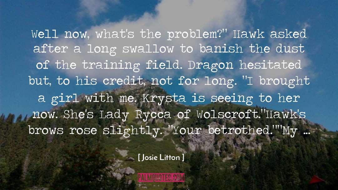 Hawk quotes by Josie Litton