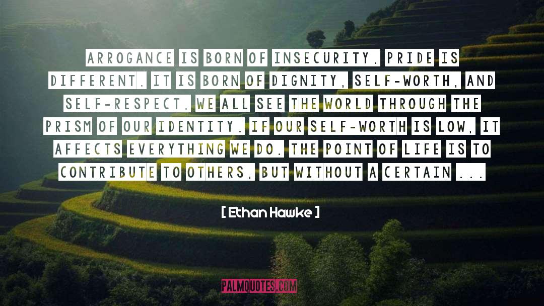 Hawke quotes by Ethan Hawke