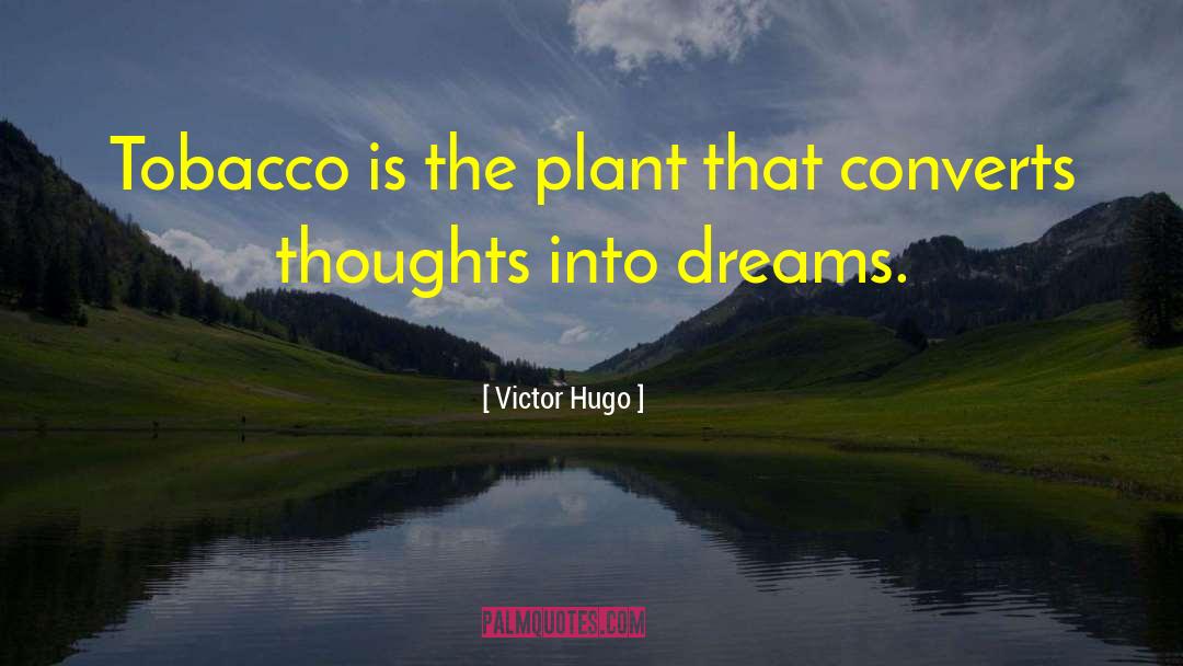 Hawkins Tobacco quotes by Victor Hugo