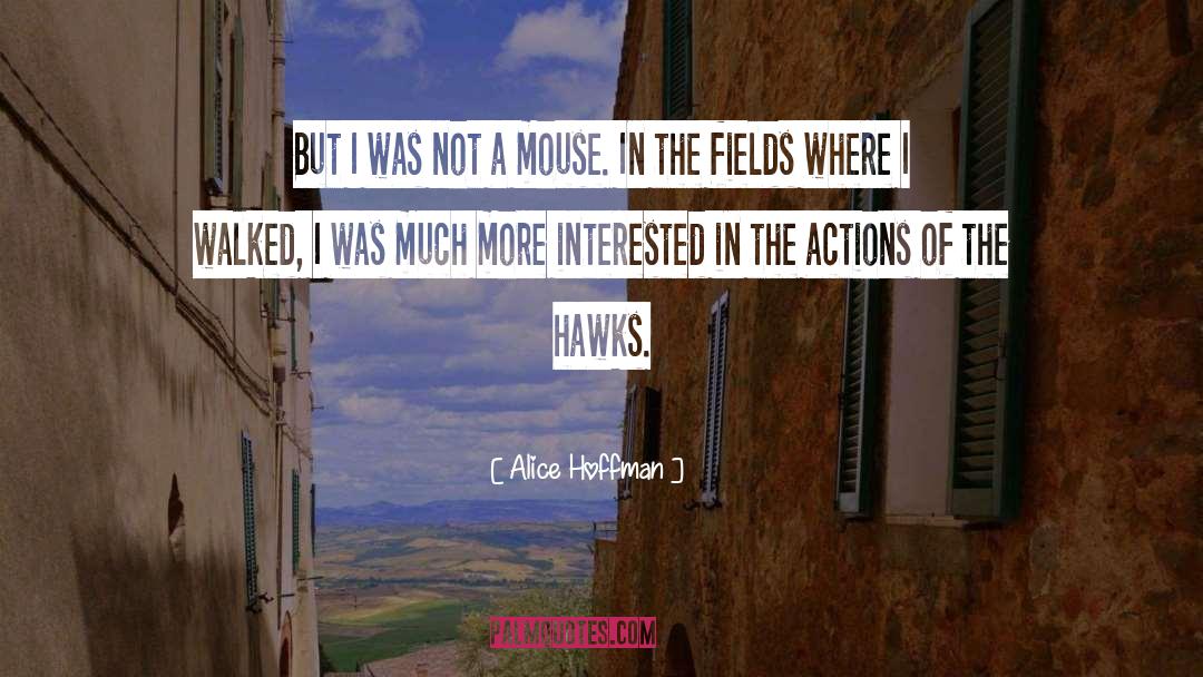 Hawks quotes by Alice Hoffman