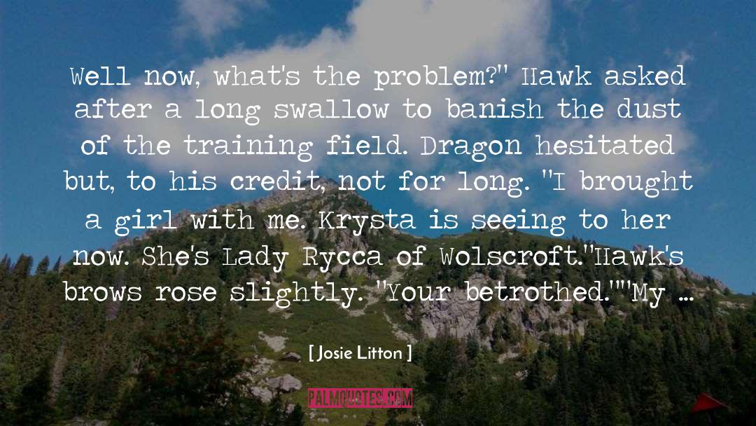 Hawks quotes by Josie Litton