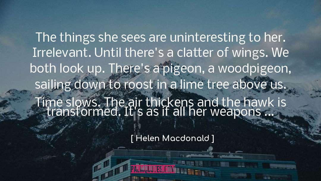 Hawks quotes by Helen Macdonald