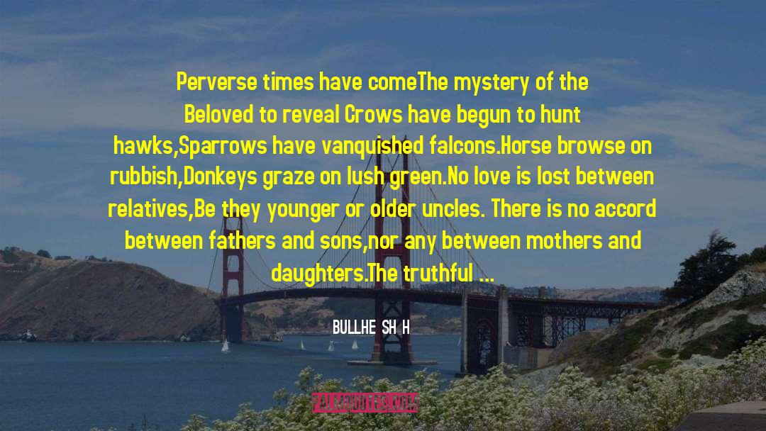 Hawks quotes by Bullhe Shāh