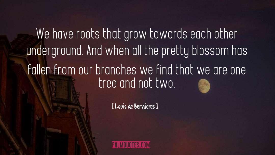 Hawthorn Blossom quotes by Louis De Bernieres