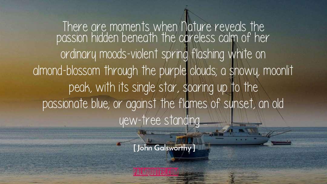 Hawthorn Blossom quotes by John Galsworthy