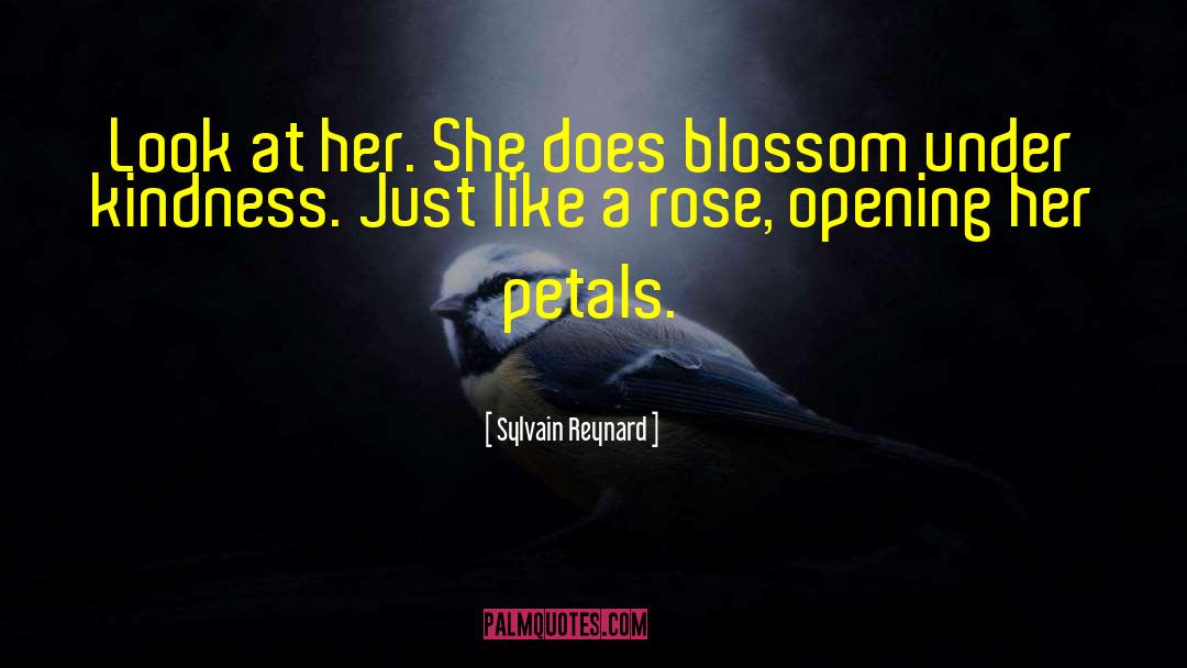 Hawthorn Blossom quotes by Sylvain Reynard