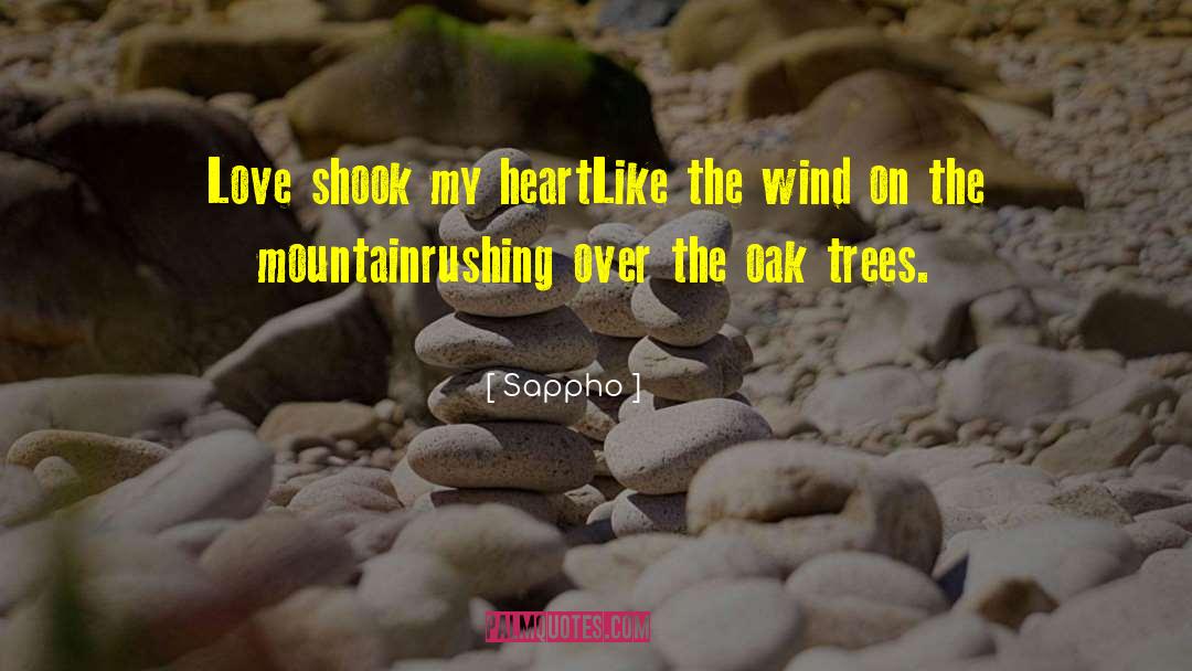 Hawthorn Tree quotes by Sappho
