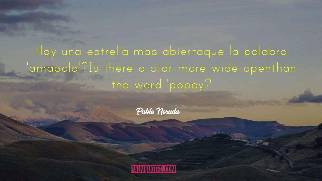 Hay quotes by Pablo Neruda
