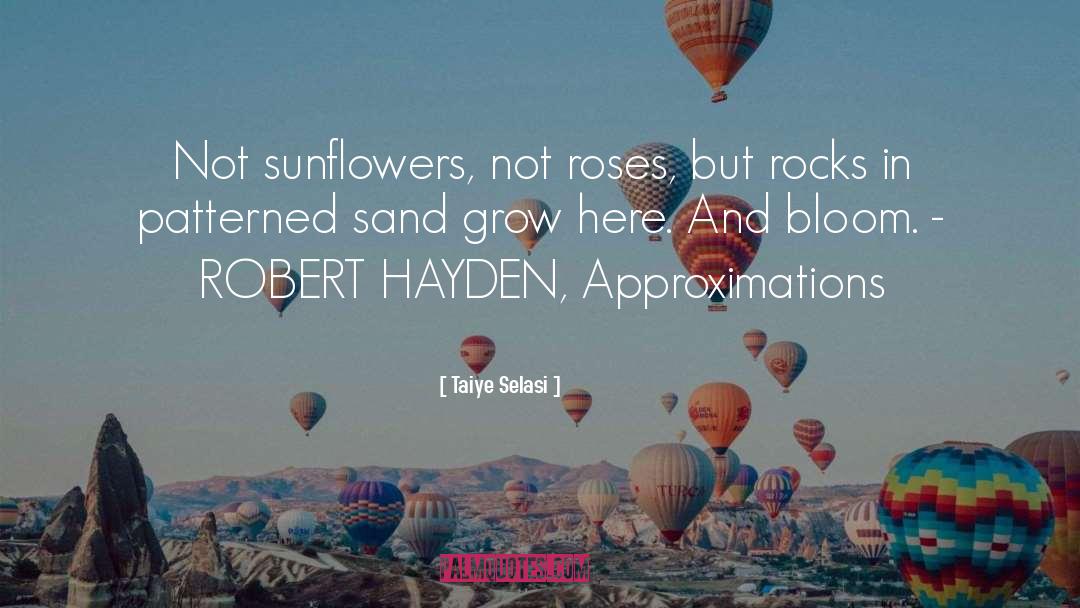 Hayden quotes by Taiye Selasi