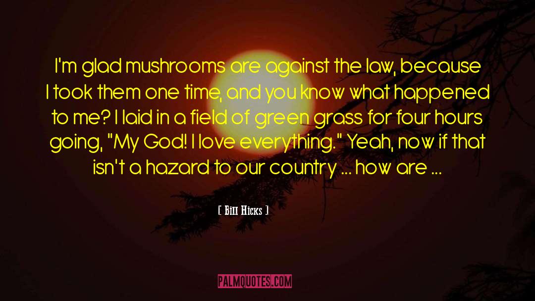 Haylock Mushrooms quotes by Bill Hicks