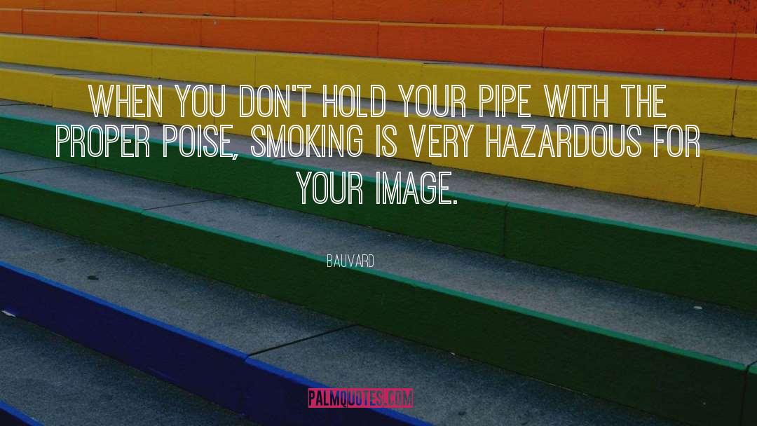 Hazardous quotes by Bauvard