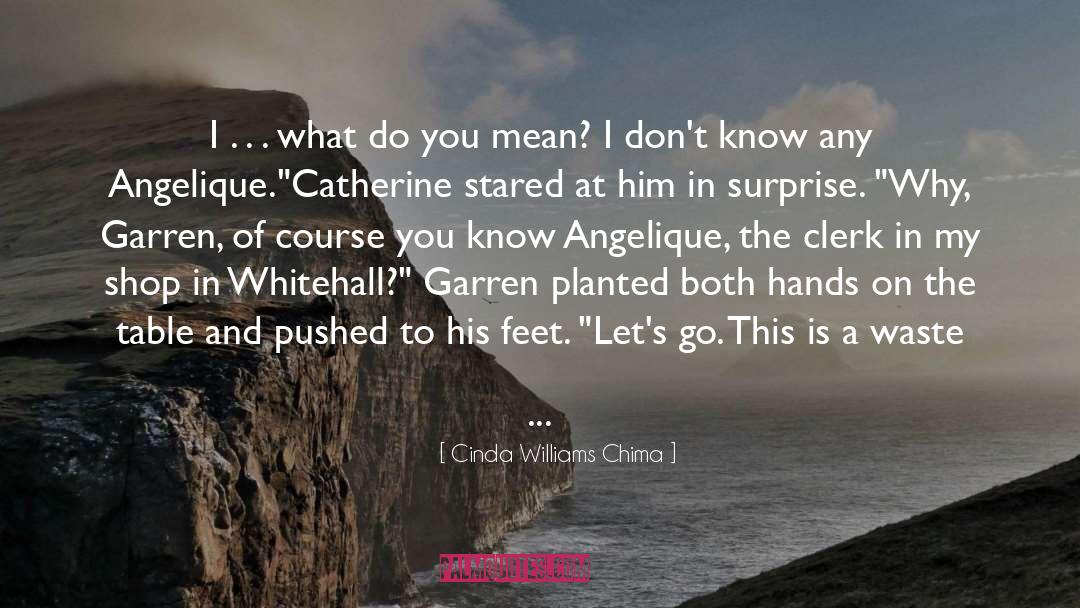 Hazardous Waste quotes by Cinda Williams Chima