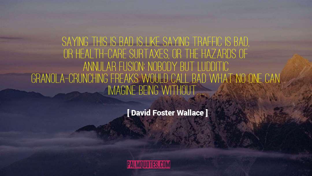 Hazards quotes by David Foster Wallace