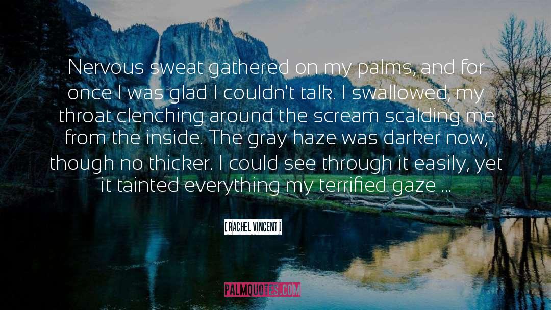 Haze quotes by Rachel Vincent