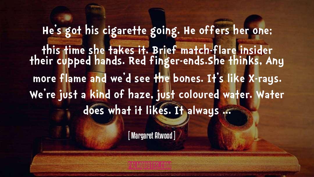 Haze quotes by Margaret Atwood