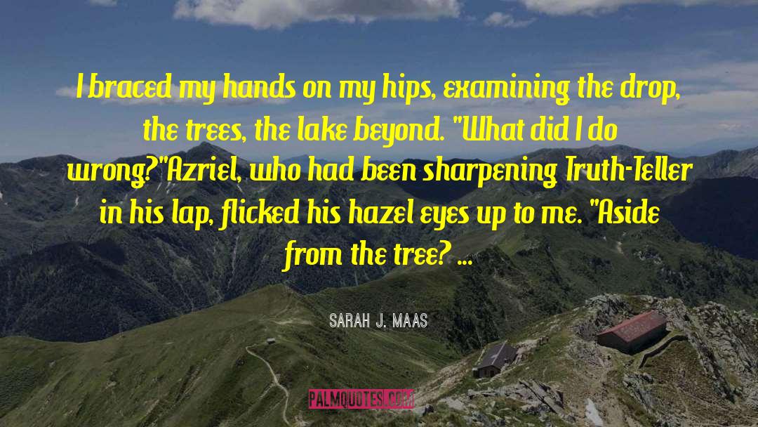 Hazel Eyes quotes by Sarah J. Maas