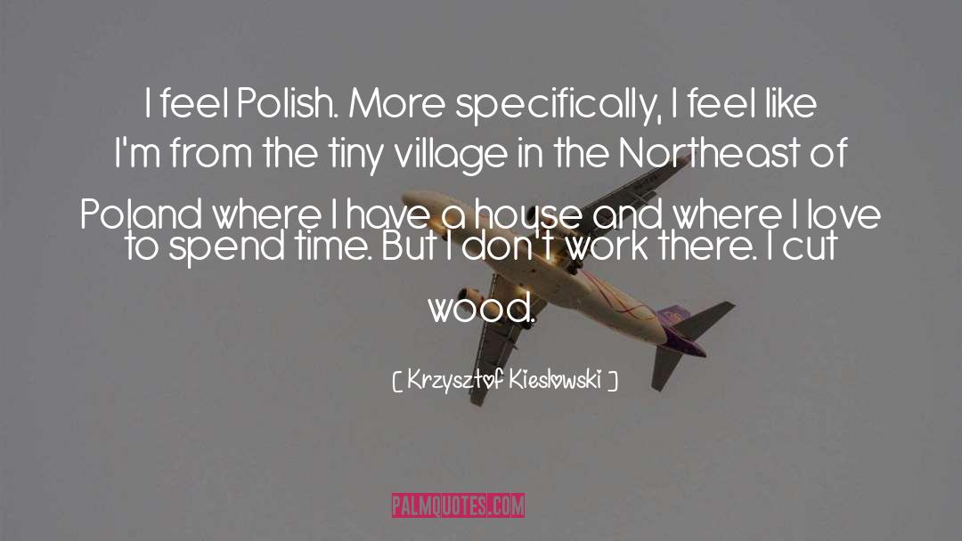 Hazels In Northeast quotes by Krzysztof Kieslowski