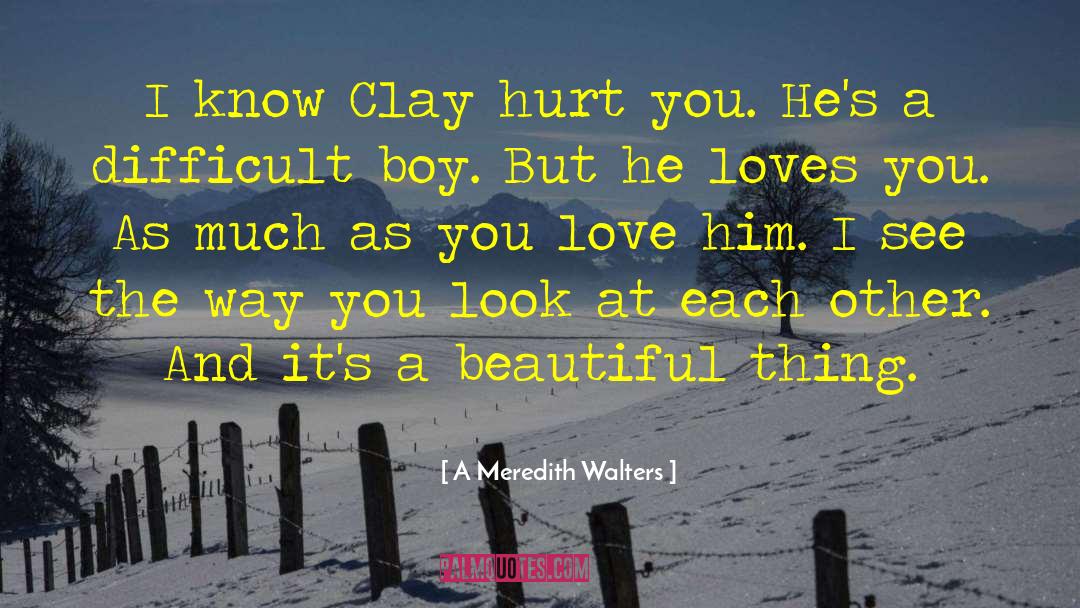 He Hurt Me quotes by A Meredith Walters