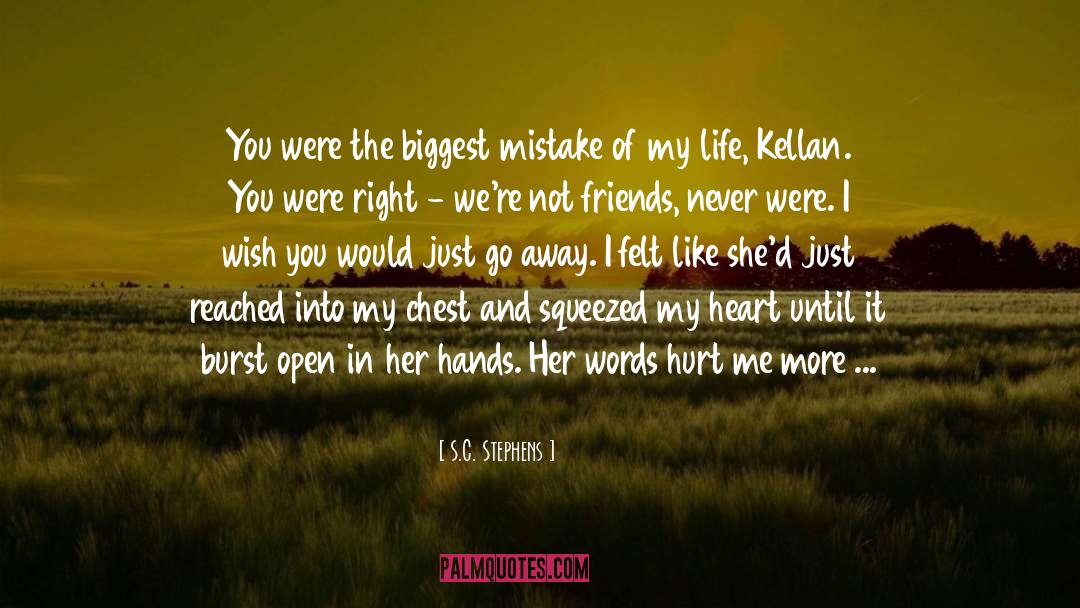 He Hurt Me quotes by S.C. Stephens