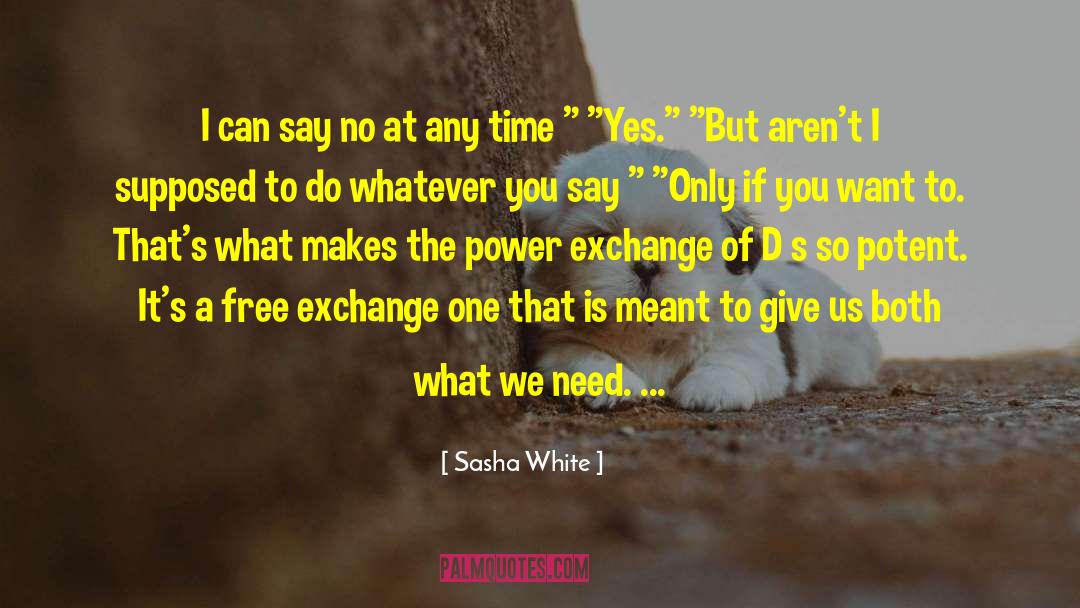 He S Potent quotes by Sasha White