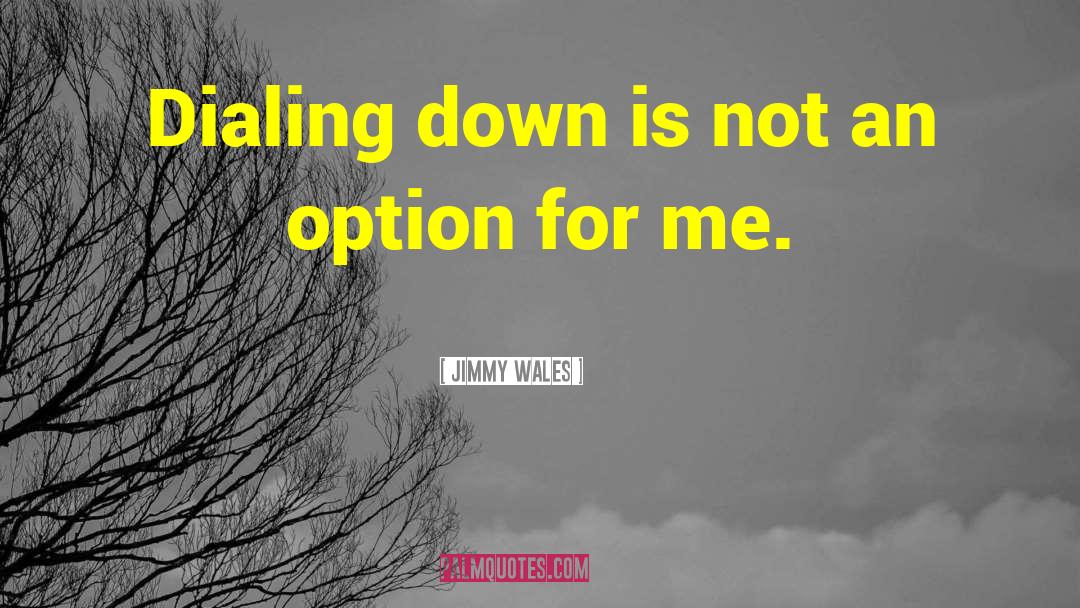 He Treats Me Like An Option quotes by Jimmy Wales