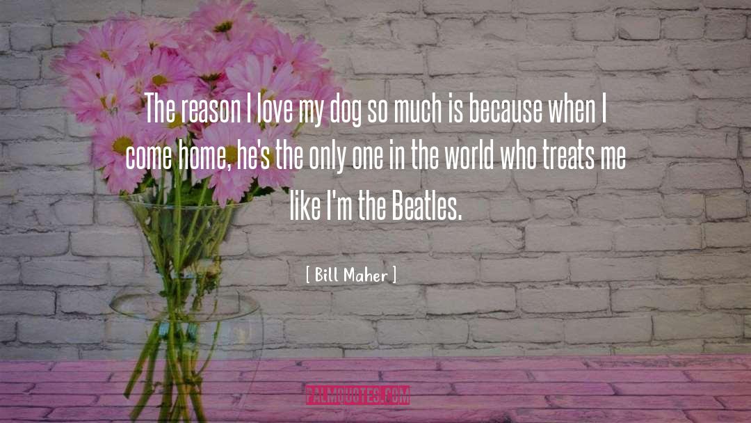 He Treats Me Like An Option quotes by Bill Maher