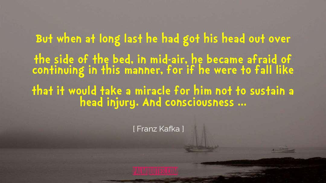 Head Injury quotes by Franz Kafka